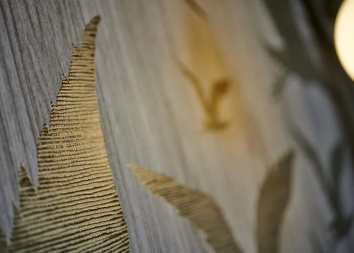 De France - מלון ביון