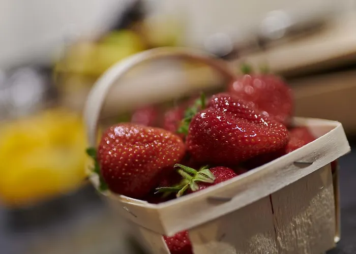 De France - Beaune (Cote d'Or)